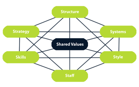 7S model structure